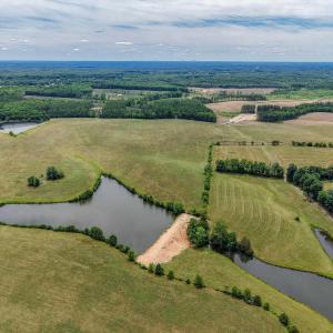 Photo #13 of 25.38 ACRES BRIERY CREEK RD, SCOTTSVILLE, VA 25.4 acres