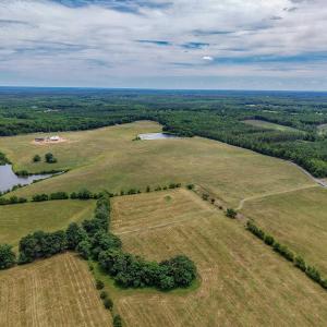 Photo #17 of 25.38 ACRES BRIERY CREEK RD, SCOTTSVILLE, VA 25.4 acres