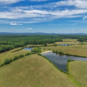 Photo #28 of 25.38 ACRES BRIERY CREEK RD, SCOTTSVILLE, VA 25.4 acres