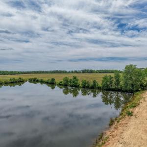 Photo #34 of 25.38 ACRES BRIERY CREEK RD, SCOTTSVILLE, VA 25.4 acres