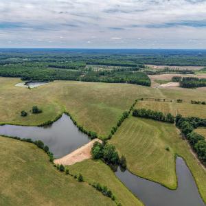 Photo #14 of 25.38 ACRES BRIERY CREEK RD, SCOTTSVILLE, VA 25.4 acres