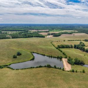 Photo #12 of 25.38 ACRES BRIERY CREEK RD, SCOTTSVILLE, VA 25.4 acres