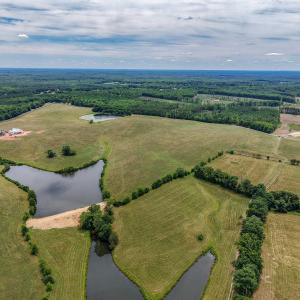 Photo #15 of 25.38 ACRES BRIERY CREEK RD, SCOTTSVILLE, VA 25.4 acres