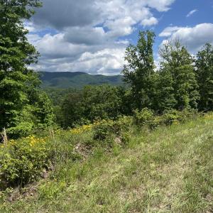 Photo #18 of 74 METHODIST CHURCH LN, WEST AUGUSTA, VA 23.8 acres