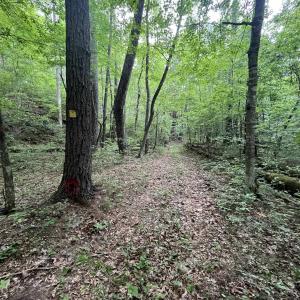 Photo #22 of 74 METHODIST CHURCH LN, WEST AUGUSTA, VA 23.8 acres