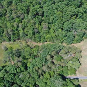 Photo #4 of 74 METHODIST CHURCH LN, WEST AUGUSTA, VA 23.8 acres