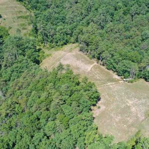 Photo #11 of 74 METHODIST CHURCH LN, WEST AUGUSTA, VA 23.8 acres