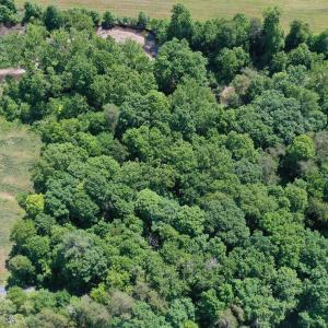 Photo #14 of 74 METHODIST CHURCH LN, WEST AUGUSTA, VA 23.8 acres