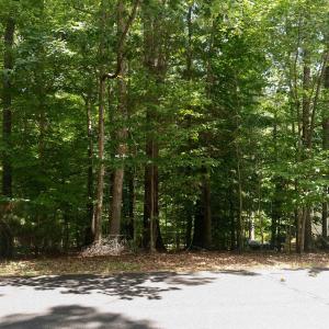 Welcome to 0 Bolling Circle, a .34 acre plot of land ready for your Lake Monticello home!