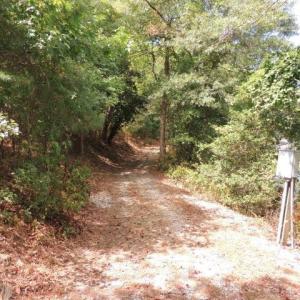 MILE OF WALKING TRAILS