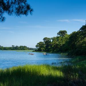 Photo #4 of 16 KINGS CT, CAPE CHARLES, VA 0.2 acres