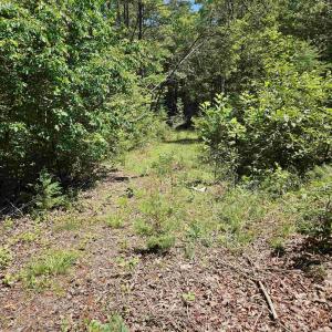 Photo #1 of MANTEO RD, BUCKINGHAM, VA 15.0 acres
