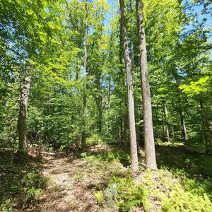 Photo #3 of MANTEO RD, BUCKINGHAM, VA 15.0 acres