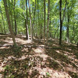 Photo #13 of MANTEO RD, BUCKINGHAM, VA 15.0 acres