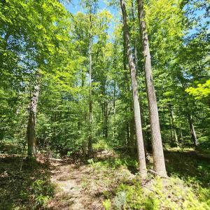 Photo #4 of MANTEO RD, BUCKINGHAM, VA 15.0 acres
