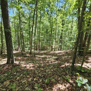 Photo #14 of MANTEO RD, BUCKINGHAM, VA 15.0 acres