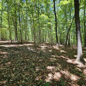Photo #15 of MANTEO RD, BUCKINGHAM, VA 15.0 acres