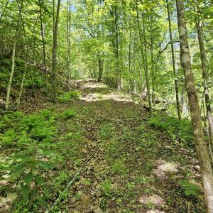 Photo #18 of MANTEO RD, BUCKINGHAM, VA 15.0 acres
