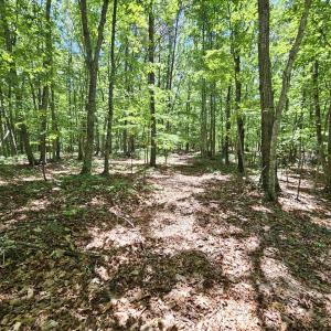 Photo #17 of MANTEO RD, BUCKINGHAM, VA 15.0 acres