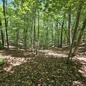 Photo #16 of MANTEO RD, BUCKINGHAM, VA 15.0 acres