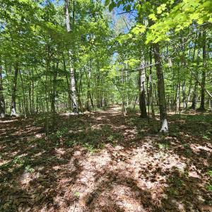 Photo #12 of MANTEO RD, BUCKINGHAM, VA 15.0 acres