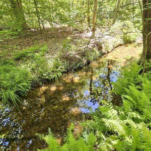 Photo #7 of MANTEO RD, BUCKINGHAM, VA 15.0 acres