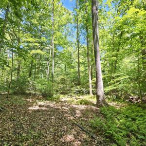 Photo #8 of MANTEO RD, BUCKINGHAM, VA 15.0 acres