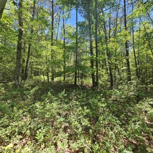 Photo #9 of MANTEO RD, BUCKINGHAM, VA 15.0 acres