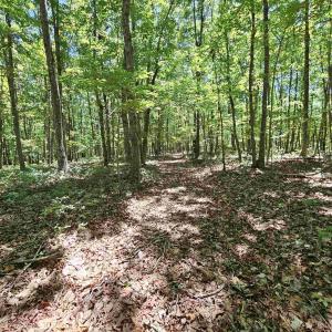 Photo #11 of MANTEO RD, BUCKINGHAM, VA 15.0 acres