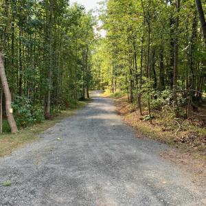 Photo #2 of 48-13o,13v&13u COURTHOUSE MOUNTAIN RD, MADISON, VA 10.6 acres