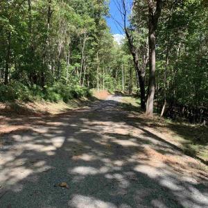 Photo #3 of 48-13o,13v&13u COURTHOUSE MOUNTAIN RD, MADISON, VA 10.6 acres