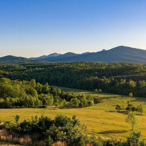 Photo #45 of 695 LAUREL RD, FABER, VA 58.6 acres