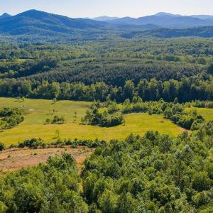 Photo #35 of 695 LAUREL RD, FABER, VA 58.6 acres
