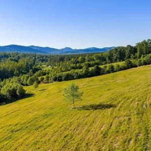 Photo #38 of 695 LAUREL RD, FABER, VA 58.6 acres