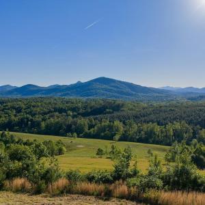Photo #5 of 695 LAUREL RD, FABER, VA 58.6 acres
