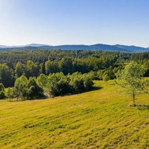 Photo #39 of 695 LAUREL RD, FABER, VA 58.6 acres