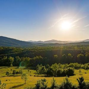 Photo #55 of 695 LAUREL RD, FABER, VA 58.6 acres