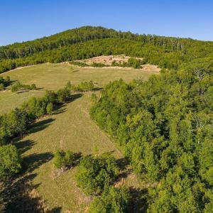 Photo #52 of 695 LAUREL RD, FABER, VA 58.6 acres