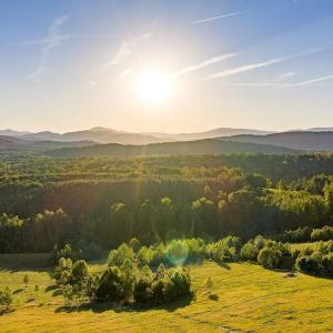 Photo #8 of 695 LAUREL RD, FABER, VA 58.6 acres