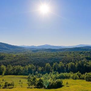 Photo #37 of 695 LAUREL RD, FABER, VA 58.6 acres