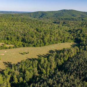 Photo #50 of 695 LAUREL RD, FABER, VA 58.6 acres