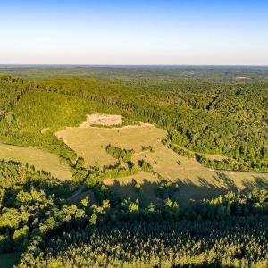 Photo #43 of 695 LAUREL RD, FABER, VA 58.6 acres