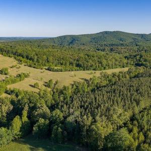 Photo #49 of 695 LAUREL RD, FABER, VA 58.6 acres