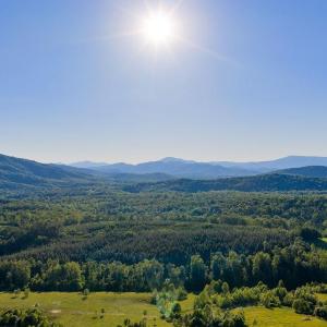 Photo #36 of 695 LAUREL RD, FABER, VA 58.6 acres
