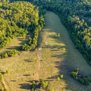 Photo #57 of 695 LAUREL RD, FABER, VA 58.6 acres