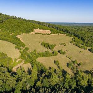 Photo #26 of 695 LAUREL RD, FABER, VA 58.6 acres