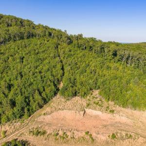 Photo #53 of 695 LAUREL RD, FABER, VA 58.6 acres