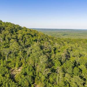 Photo #33 of 695 LAUREL RD, FABER, VA 58.6 acres