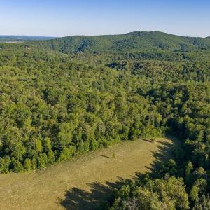 Photo #51 of 695 LAUREL RD, FABER, VA 58.6 acres