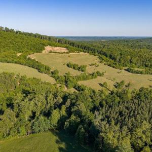 Photo #25 of 695 LAUREL RD, FABER, VA 58.6 acres